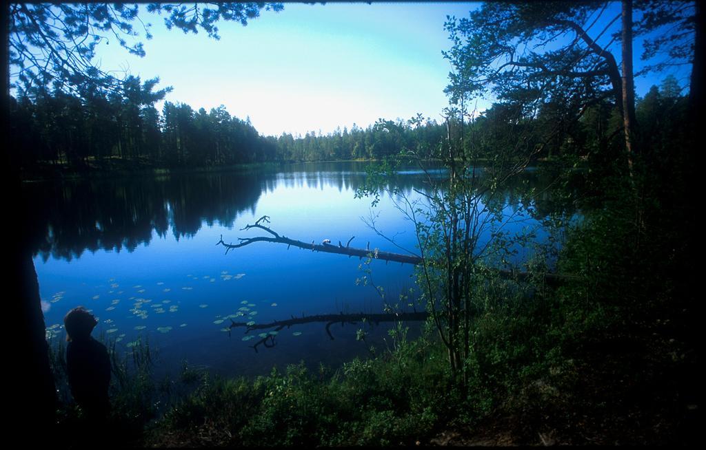 Manamansalo Camping Bagian luar foto