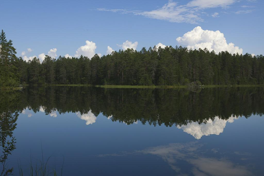 Manamansalo Camping Bagian luar foto