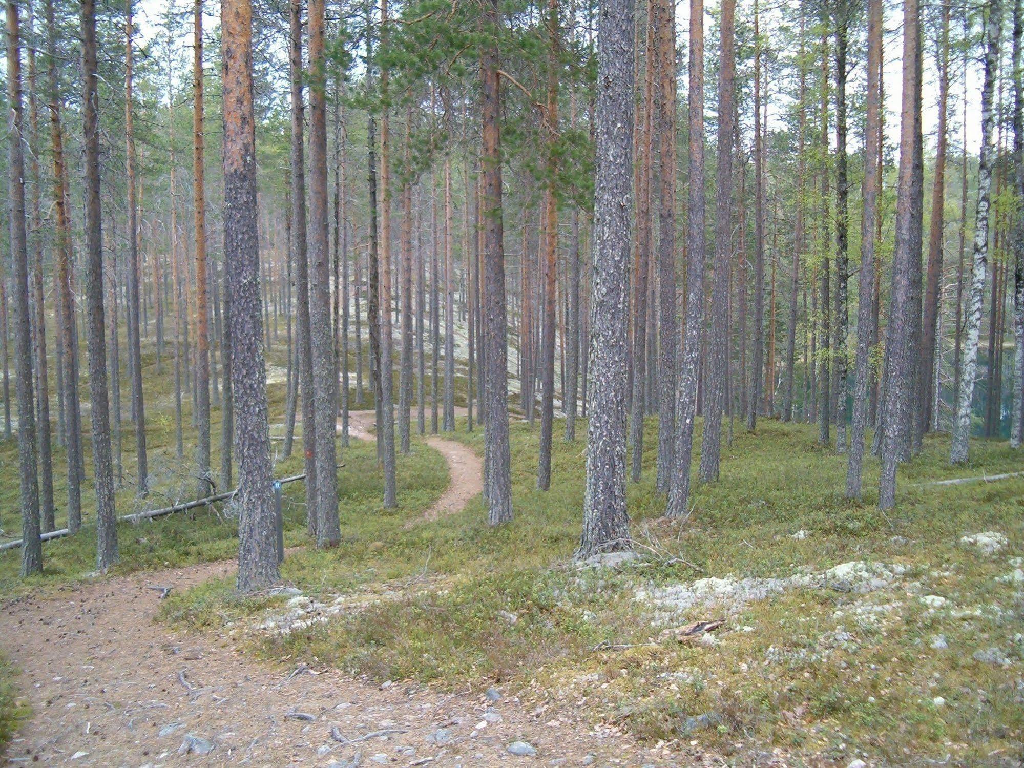 Manamansalo Camping Bagian luar foto